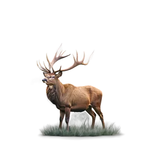 Stag In Mist Png 1 PNG image