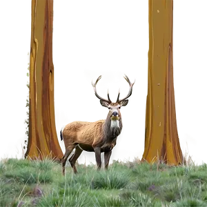 Stag In The Woods PNG 55