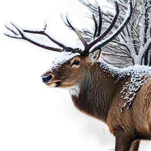 Stag In Winter Wonderland PNG Wed PNG