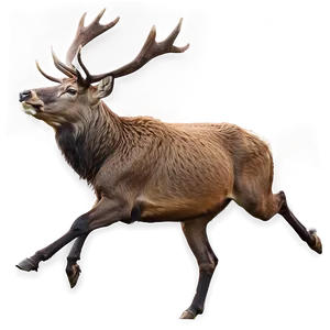 Stag Running Wild PNG Aut PNG