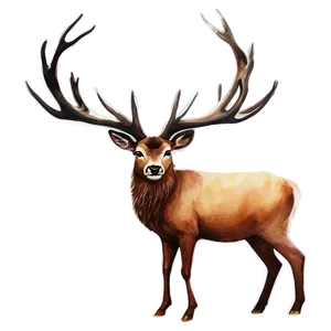 Stag Watercolor Painting Png 17 PNG image