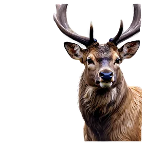 Stag Watercolor Painting Png 44 PNG image