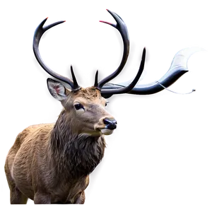 Stag With Birds PNG Whb87 PNG