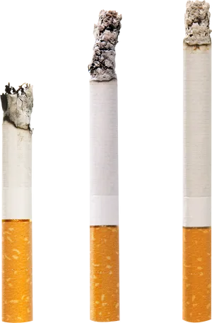 Stagesof Cigarette Burning PNG image