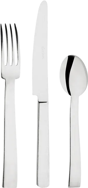 Stainless Steel Cutlery Set PNG image