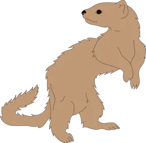 Standing Ferret Illustration PNG