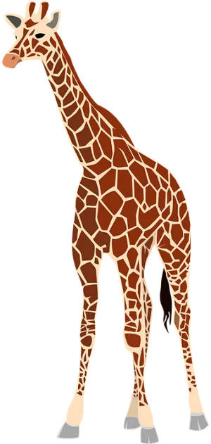 Standing Giraffe Illustration