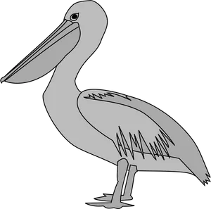 Standing Pelican Illustration.png PNG image