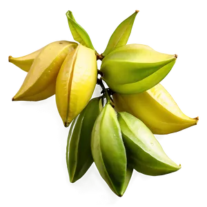 Star Fruit Cluster Png 06252024 PNG image