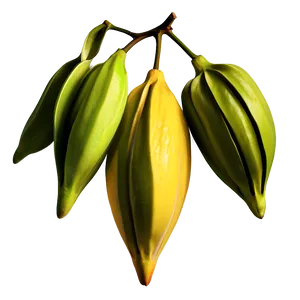 Star Fruit Illustration Png 06252024 PNG image