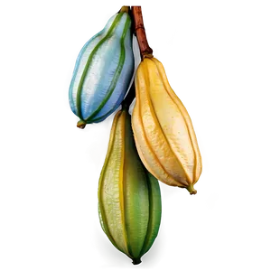 Star Fruit On Branch Png 06252024 PNG image