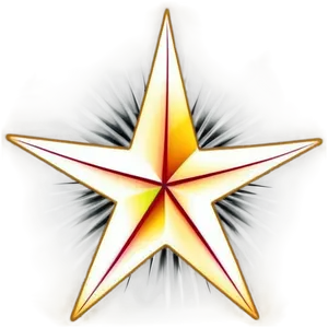 Star Tattoo With Flowers PNG 22