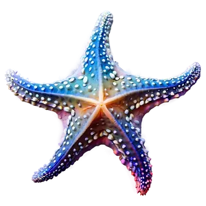 Starfish And Coral Reef PNG 05242024