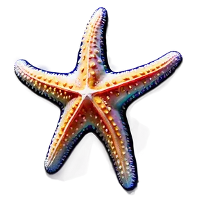 Starfish Beach Party PNG Nxt PNG