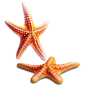 Starfish Clipart Png 48 PNG image