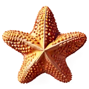 Starfish Emoji PNG 05242024