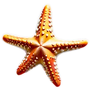 Starfish Emoji PNG Ala