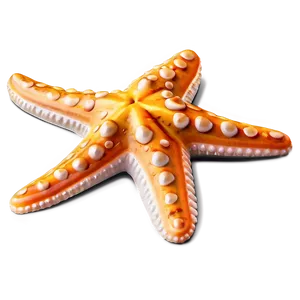 Starfish Emoji PNG Qky89