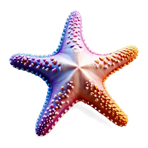 Starfish For Kids PNG Xyp12 PNG