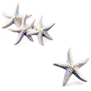 Starfish Galaxy Pattern PNG Csj PNG