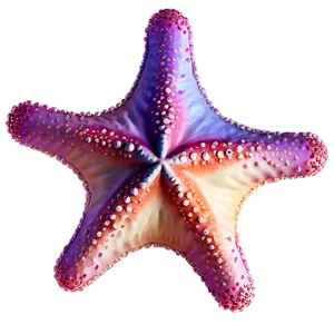 Starfish In Dreamy Style PNG Eoe63 PNG