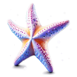 Starfish In Dreamy Style PNG Ibo PNG
