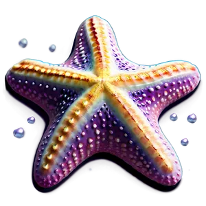 Starfish In Dreamy Style PNG Xxe35 PNG