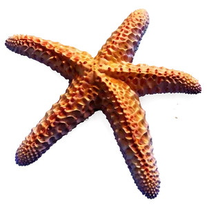 Starfish In Low Poly PNG 05242024