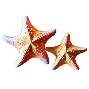 Starfish In Low Poly PNG 05242024