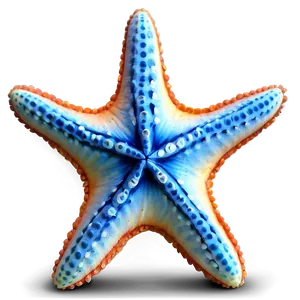 Starfish On Seaside PNG 46