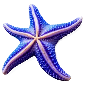 Starfish On The Beach PNG 17