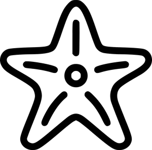 Starfish Outline Clipart PNG image