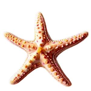 Starfish Outline Png 05242024 PNG image