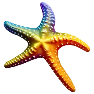 Starfish Silhouette Png 49 PNG image