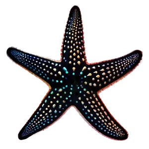 Starfish Silhouette Png Gjw20 PNG image