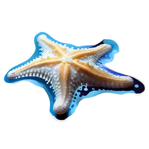 Starfish Underwater Image PNG 05242024