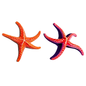 Starfish With Sunglasses PNG Tlm
