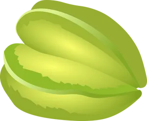 Starfruit Vector Illustration PNG