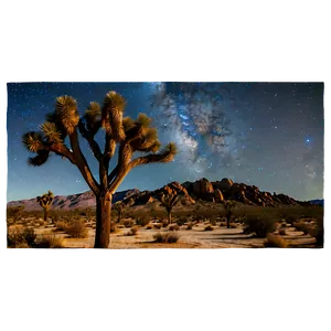 Starry Night Joshua Tree PNG Xsw
