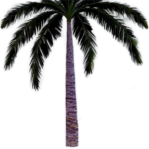 Starry Night Palms PNG 06112024 PNG