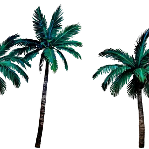 Starry Night Palms PNG Esd88 PNG