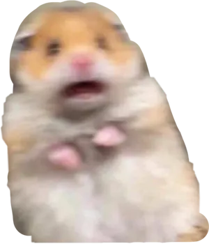Startled Hamster Moment PNG image