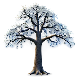 "stately Elm Tree PNG" 04302024
