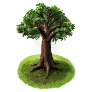 "stately Elm Tree PNG" Fef