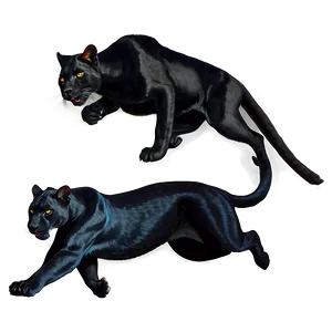 Stealthy Panthers In Night Png Ech91 PNG image