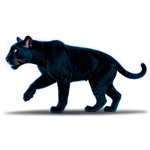 Stealthy Panthers In Night Png Wrt PNG image