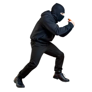 Stealthy Robber Png 06212024 PNG image