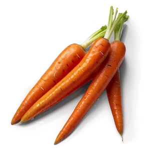 Steamed Carrots Png 65 PNG image