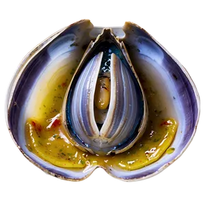 Steamed Clam Delicacy PNG 05242024 PNG
