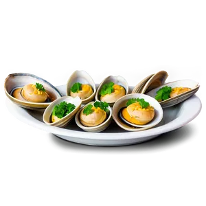 Steamed Clam Delicacy PNG 96 PNG